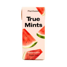 Pastillid arbuusimaitselised True Mints magusainega 13g