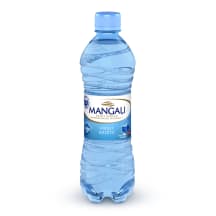 Dzeramais ūdens Mangaļi-1 viegli gāzēts 0,5l
