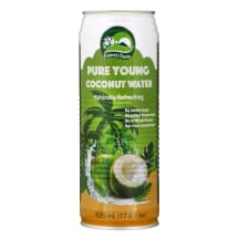 Tyras kokoso vanduo NATURE'S CHARM, 520 ml
