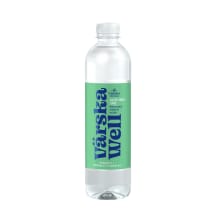 Vitamiinivesi Värska Well aloe vera-laim 0,568l