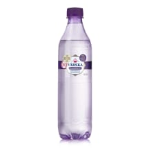 Karboniseeritud vesi magneesiumiga Värska 0,5l