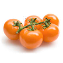 Oranžiniai pomidorai su šakele, 1 kl., 1 kg