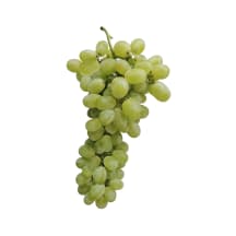 Vīnogas Italia gaišās 22+ mm 1. šķira