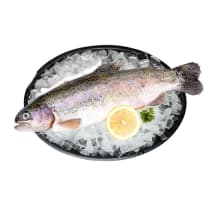 Vikerforell roogitud, jahutatud, kg