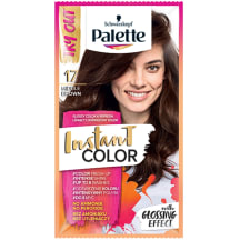 Tonējoša matu krāsa Palette Nr.17