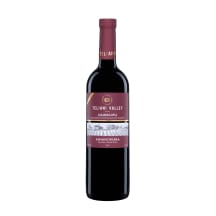 Raud.vynas TELIANI VALLEY KVANCH.,11,5%,0,75l