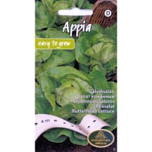 Salāti galviņu Appia 4m