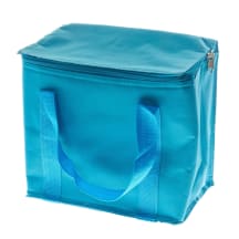 Šaldymo krepšys ir ledo paketas, 7l SS22