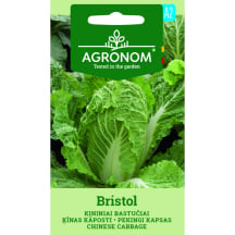 Ķīnas kāposti Bristol Agronom