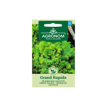 Aedsalat Grand Rapids Agronom