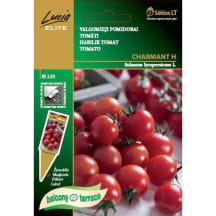 Pomidorų sėklos LUCIA ELITE CHARMANT H