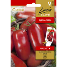 Pomidorų sėklos LUCIA ELITE EDUARDO H