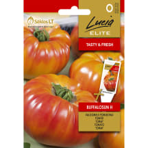 Pomidorų sėklos LUCIA ELITE BUFFALOSUN H