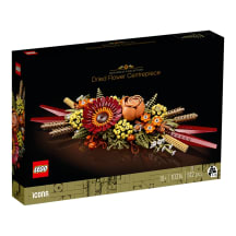 Konstr.LEGO Džiovintų gėlių puošmena 10314
