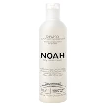 St. šampūnas su pip. ir mėt. NOAH 1.7, 250 ml