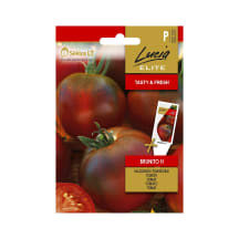 Harilik Tomat Brunito H