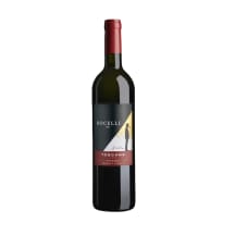 Kaitstud geograafilise tähisega vein Andrea Bocelli Toscana Rosso 14%vol 0,75l