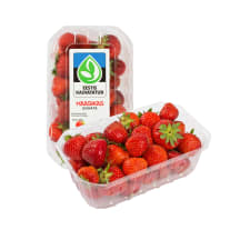 Maasikas, EESTI, 500g
