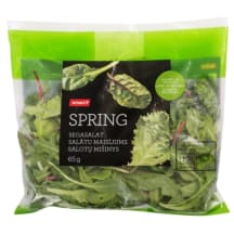 Salat Spring 65g RIMI