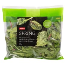 Salātu maisījums Rimi spring 1.šķ. 65g