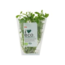 Piparmētra I love Eco 30g (bez podiņa)