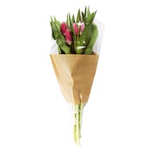 Tulpju pušķis 35cm, 7 ziedi
