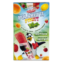 Sulas saldējums Polaretti augļu BIO 10x40ml