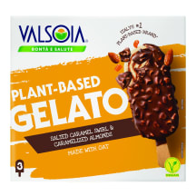 Soolakar.jäätis pähklitega Valsoia vegan 240g