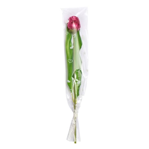 Šokolādes tulpe maisiņā 20g
