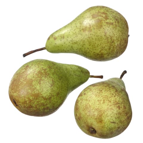 Pirn Comice kg