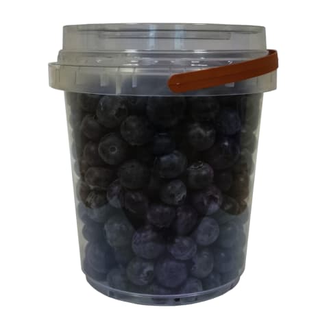 Šilauogės, 500 g