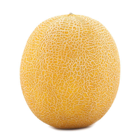 Melon Galia kg