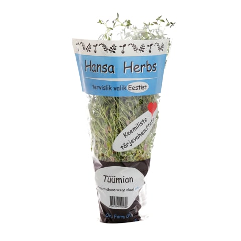 Tüümian potis Hansa Herbs