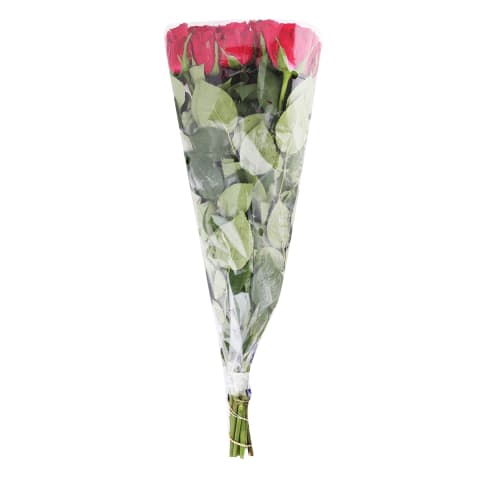 Rožu pušķis garais 50 cm 9 gab