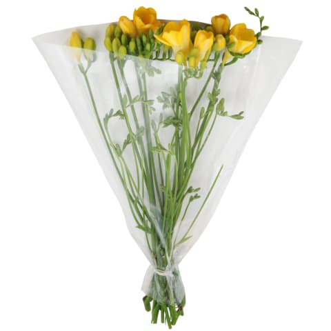Frezijų puokštė 40cm (10vnt), 1vnt