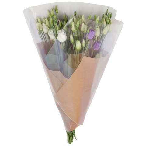 Eustomų puokštė, 50 cm, 5 vnt