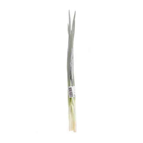 Roheline sibul 50g