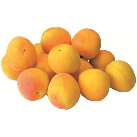 Aprikoos karbis 500 g