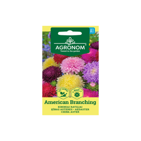Aedaster American Branching Agronom