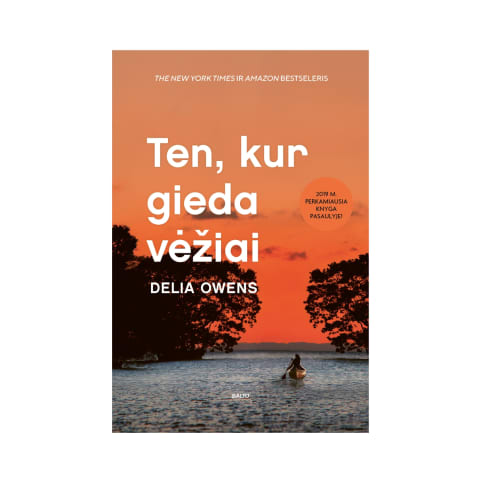 Knyga TEN KUR GIEDA VĖŽIAI