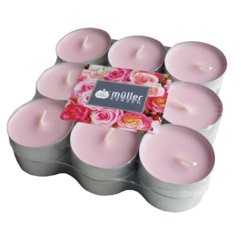 Svece MULLER angļu roze 4 h 18 gab.
