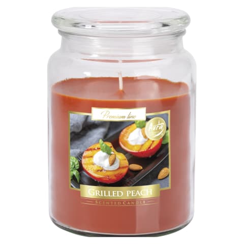 Žvakė BISPOL, persikų arom., 100 h, AW23