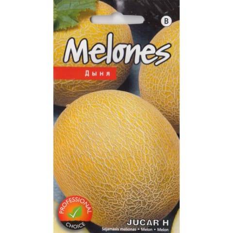 Melone Jucar H