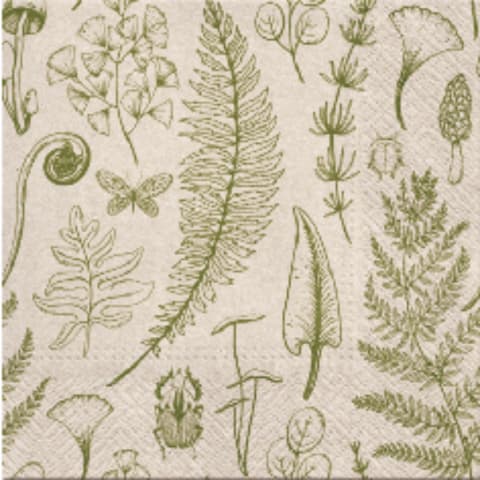 Salvrätikud Paw Forest 33x33cm 20tk SS23