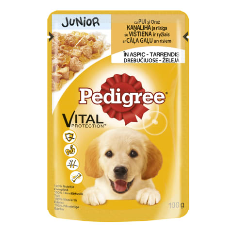 Pedigree Junior koeraeine 100g kanaliha