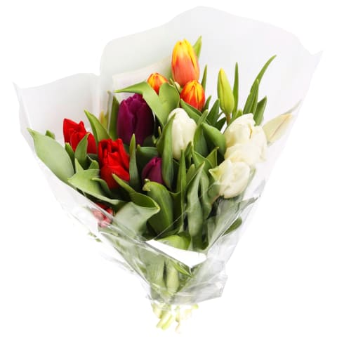 Tulpju pušķis 35cm, 20 ziedi