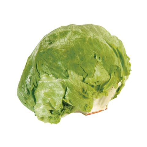 Salotos ICEBERG, 1 kl., 1 vnt