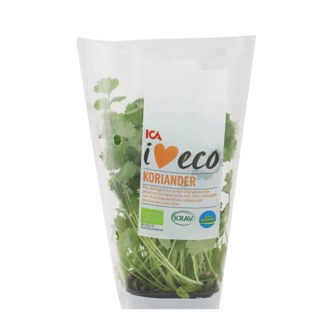 Koriandrs I Love Eco 30g (bez podiņa)