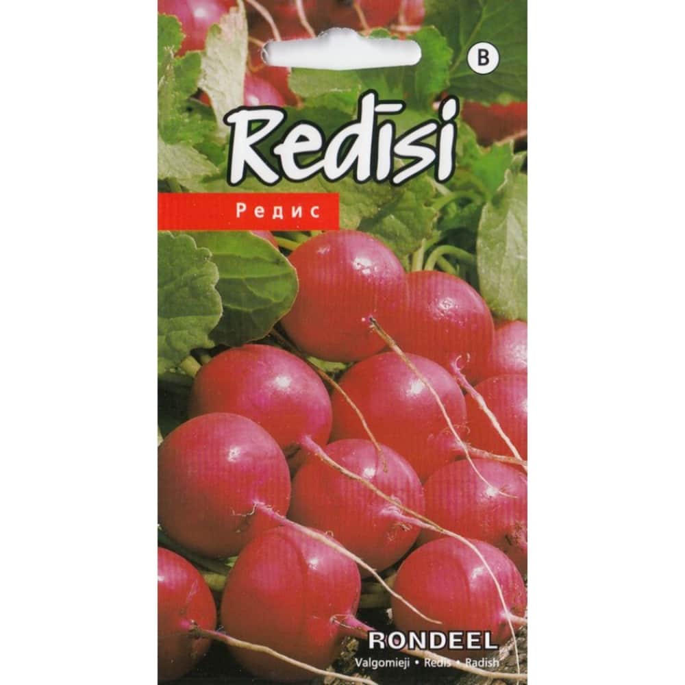 Redīsi Rondeel Kurzemes Sēklas