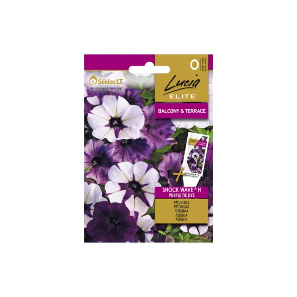 Petūnijas Surfīnijas Shock Wave H Purple